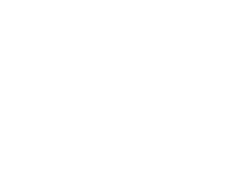 Pinzgauer line drawing