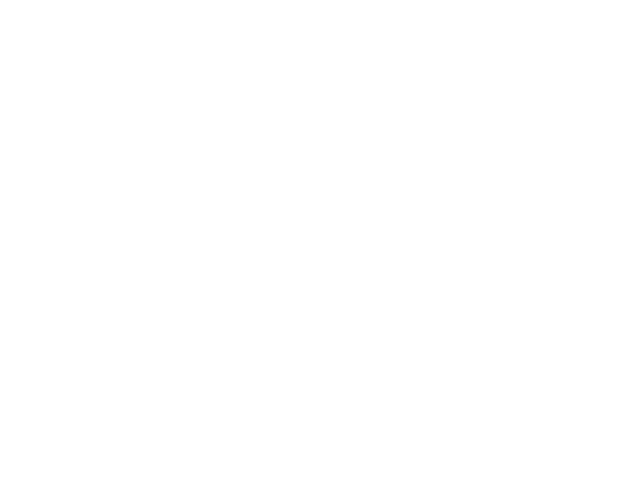 Pinzgauer line drawing